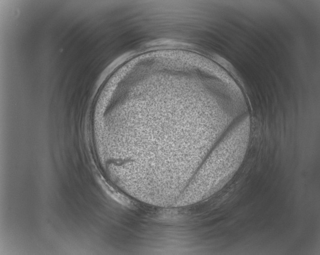 X0000080201098200701051742