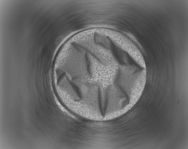 X0000080201100200701051742