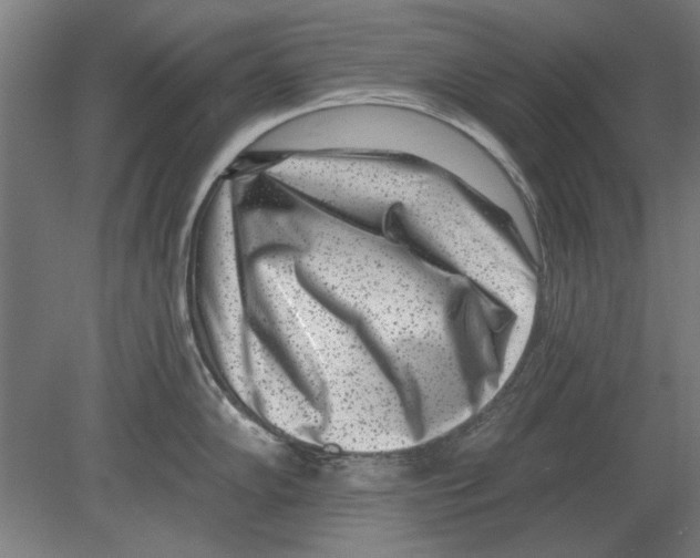 X0000080201102200701051742