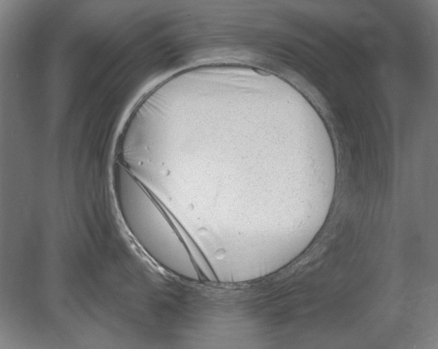 X0000080201104200701051742