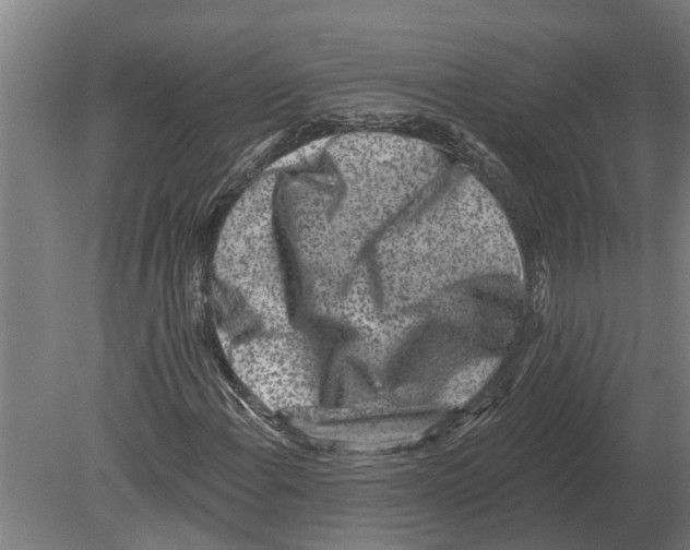 X0000080201108200701051741