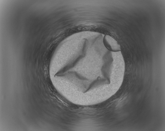 X0000080201109200701051741