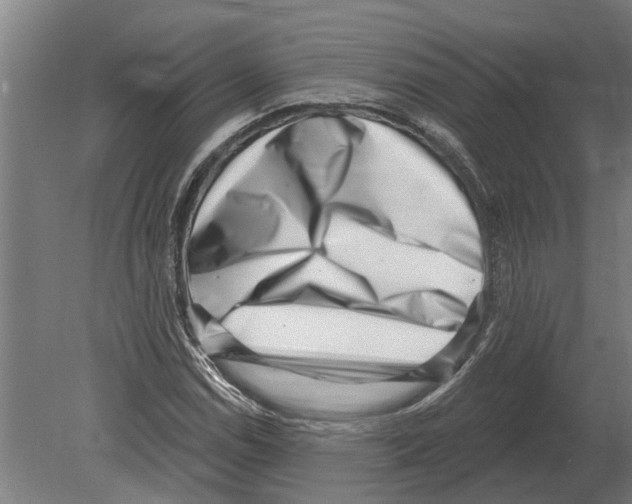 X0000080201114200701051741