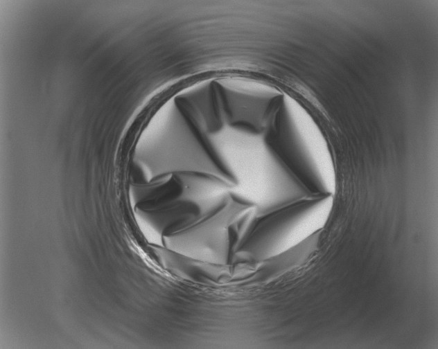 X0000080201116200701051741