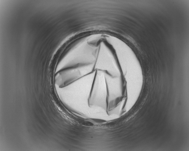 X0000080201118200701051742