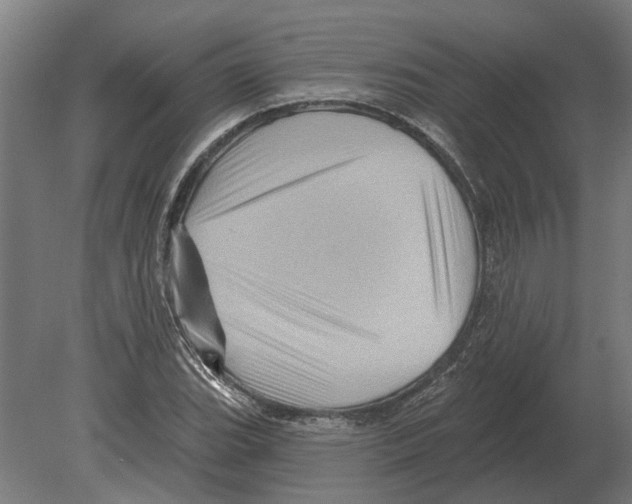 X0000080201119200701051742