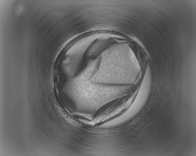 X0000080201124200701051742