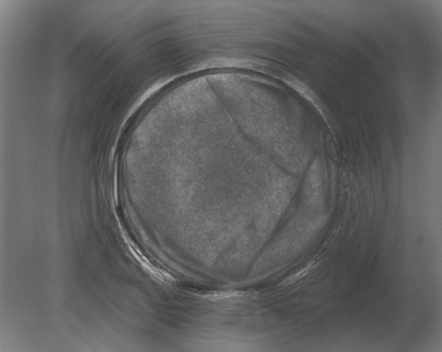 X0000080201127200701051742