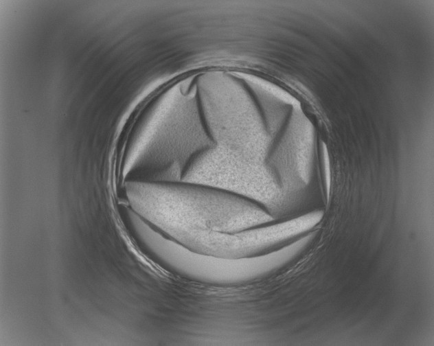 X0000080201128200701051742