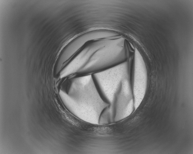 X0000080201129200701051742