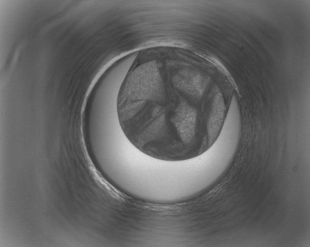 X0000080201132200701051742