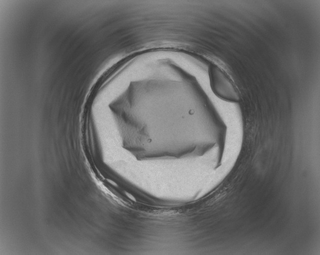 X0000080201135200701051742