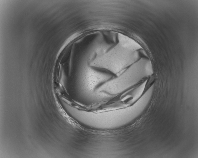 X0000080201138200701051742