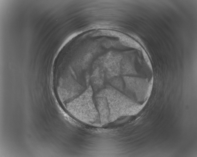 X0000080201147200701051742