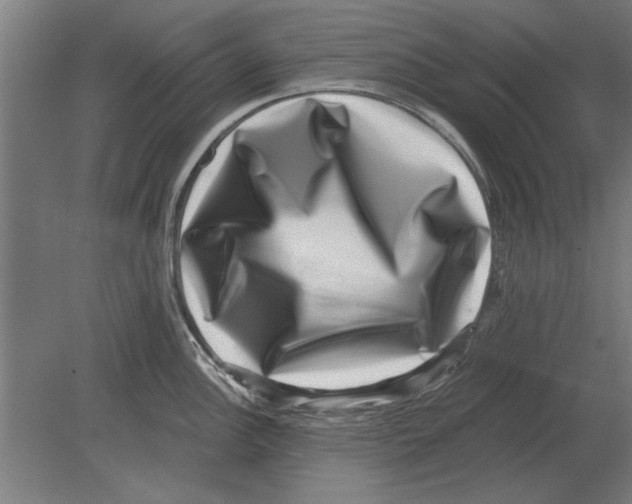 X0000080201148200701051742