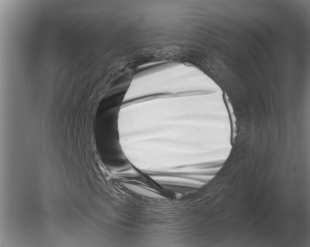 X0000080201153200701051741