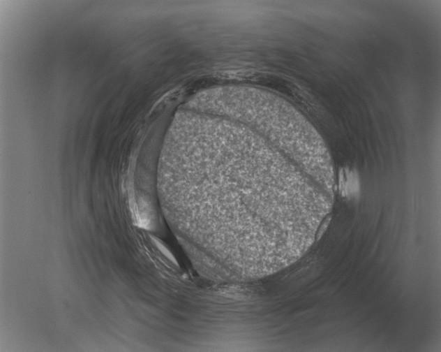 X0000080201155200701051741