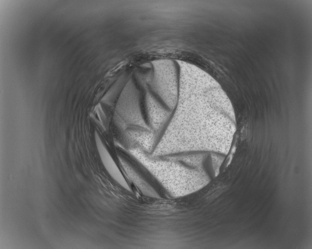 X0000080201156200701051741