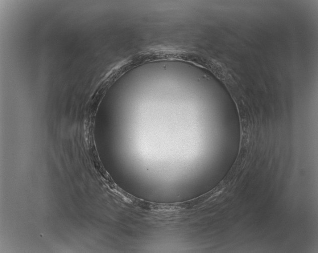 X0000080201157200701051741