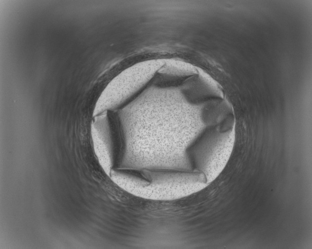 X0000080201158200701051741