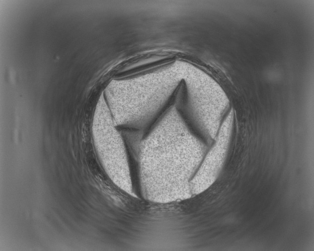 X0000080201159200701051741