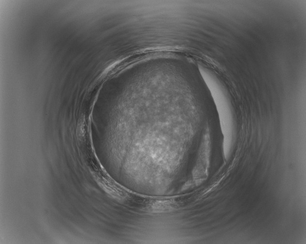 X0000080201161200701051741