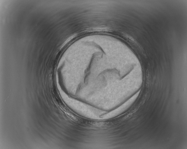 X0000080201162200701051741