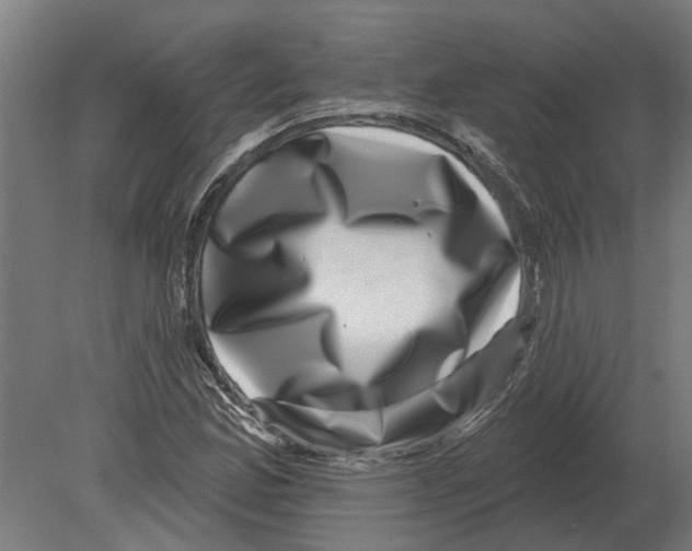 X0000080201165200701051741