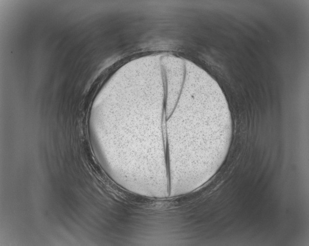 X0000080201166200701051741