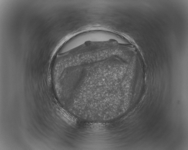 X0000080201167200701051741