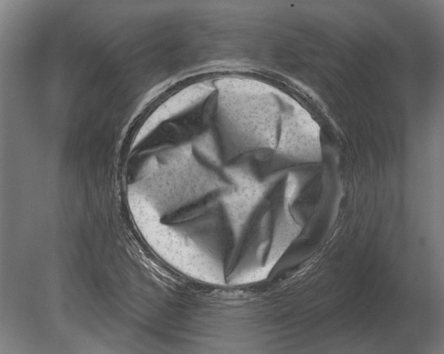 X0000080201168200701051741