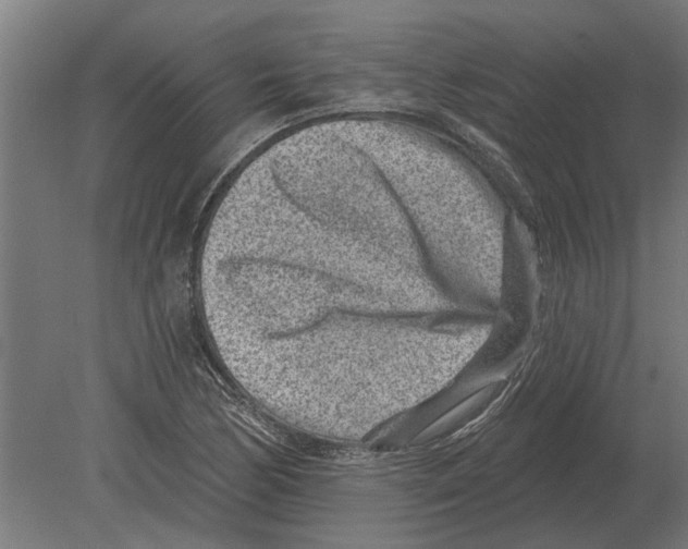 X0000080201170200701051741