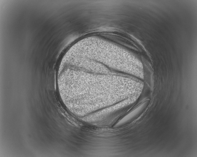 X0000080201171200701051741