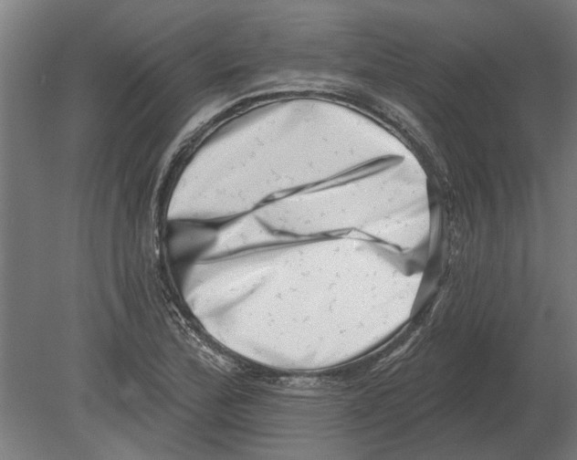 X0000080201172200701051741