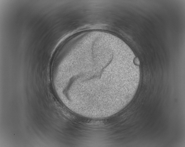 X0000080201174200701051741