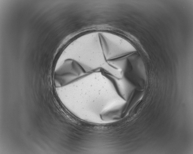 X0000080201176200701051741