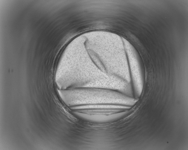 X0000080201178200701051741