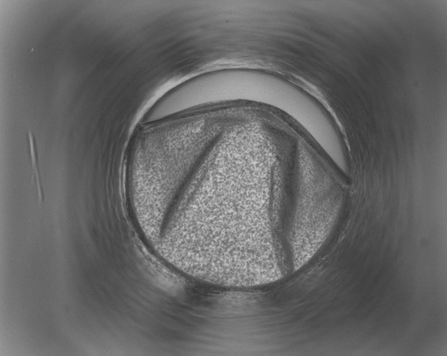 X0000080201179200701051741