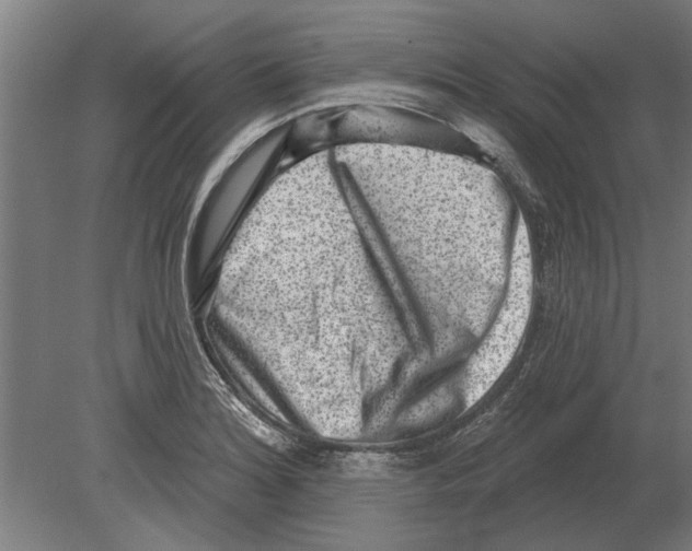 X0000080201180200701051741