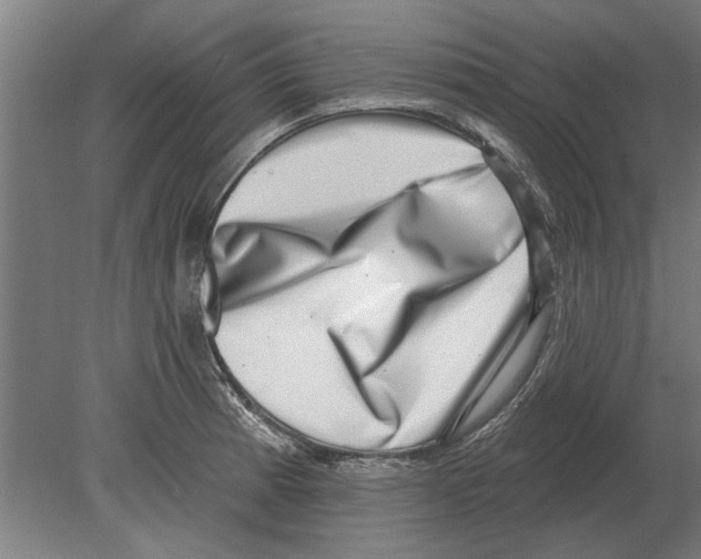 X0000080201185200701051741