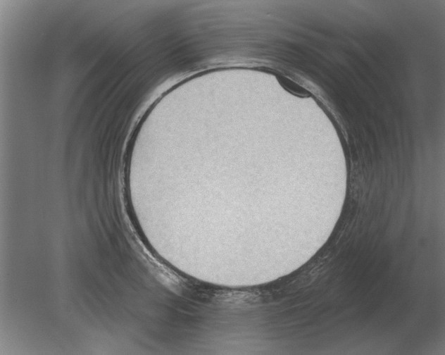 X0000080201187200701051741