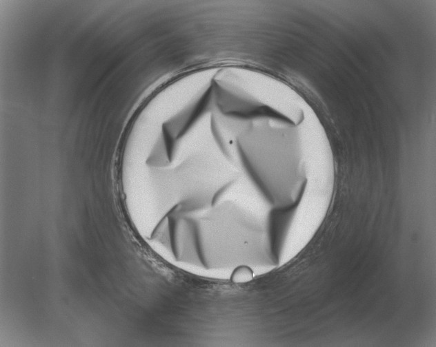 X0000080201190200701051741