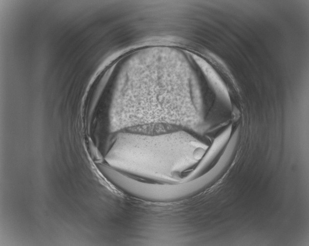 X0000080201192200701051741