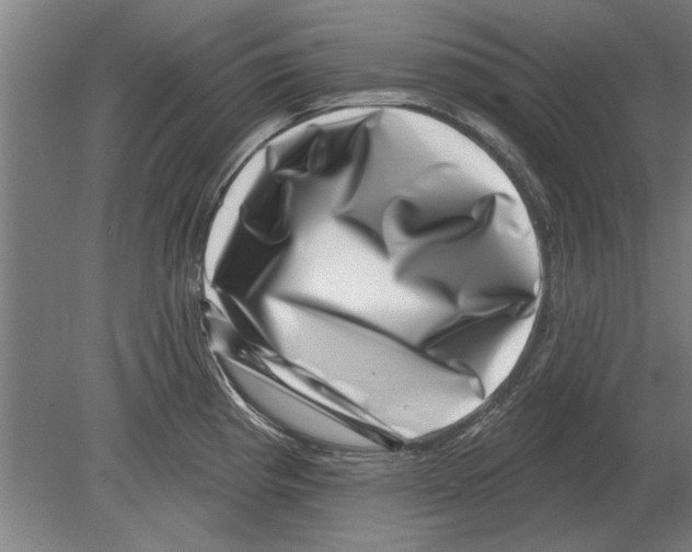 X0000080201193200701051741