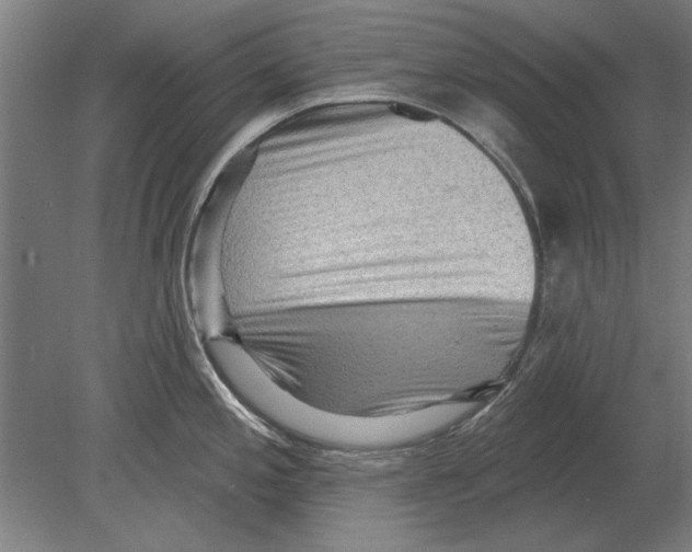 X0000080201197200701051741