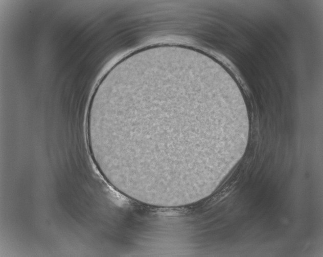 X0000080201199200701051741