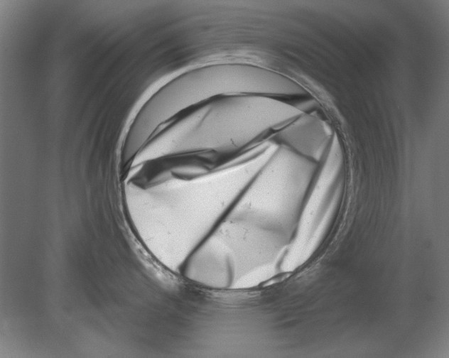 X0000080201200200701051741