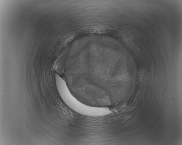 X0000080201202200701051740