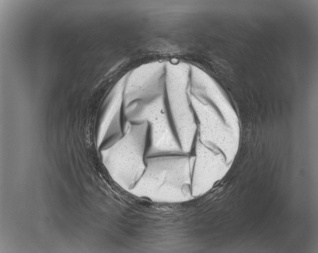 X0000080201205200701051740