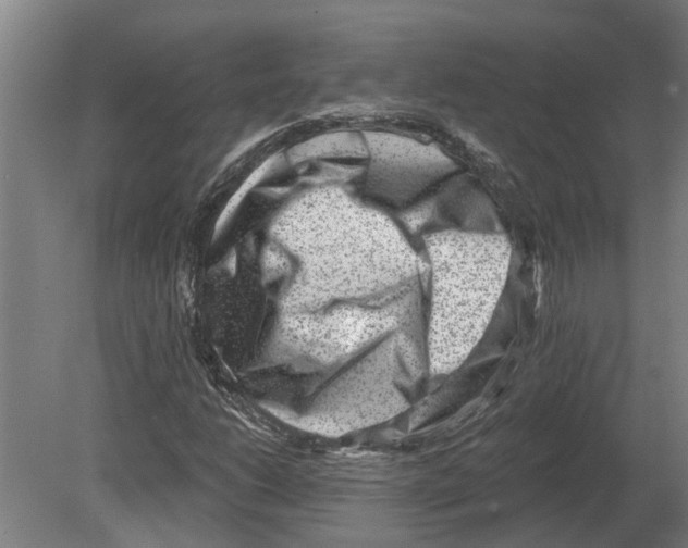 X0000080201206200701051740